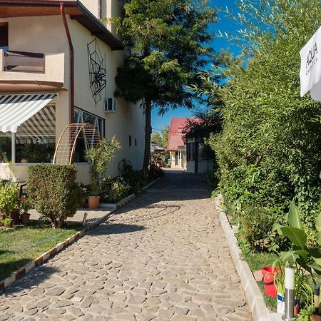 Pension Motanul Galanton Sznagov Kültér fotó