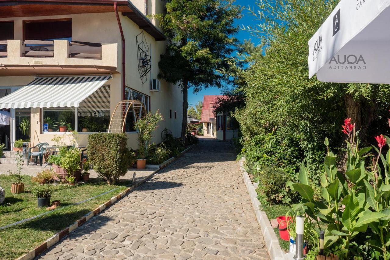 Pension Motanul Galanton Sznagov Kültér fotó