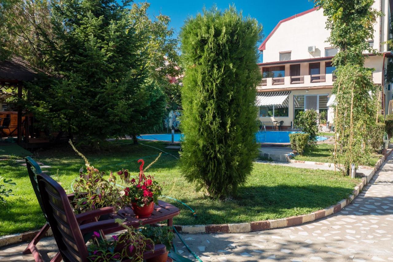 Pension Motanul Galanton Sznagov Kültér fotó